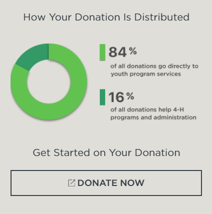 donation page best practices example 01