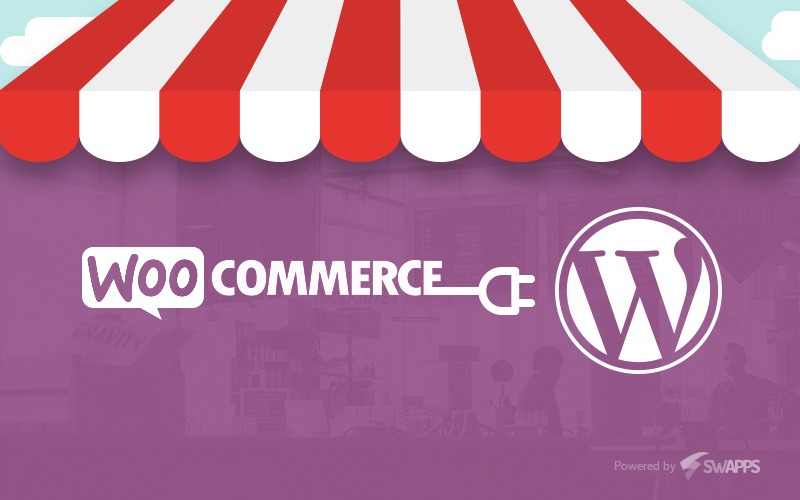 Wordpress WooCommerce Payment Checkout Forms Plugin for Website