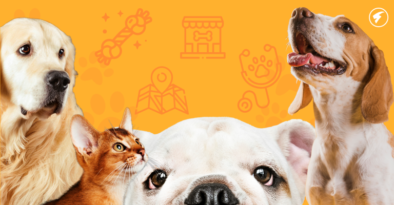 Dogs and cats: applications for the well-being of our pets